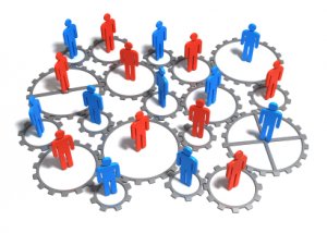 social ambassadors